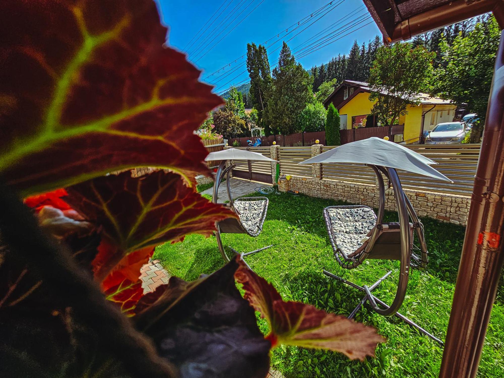 Hotel Alpine Bliss Sinaia Esterno foto